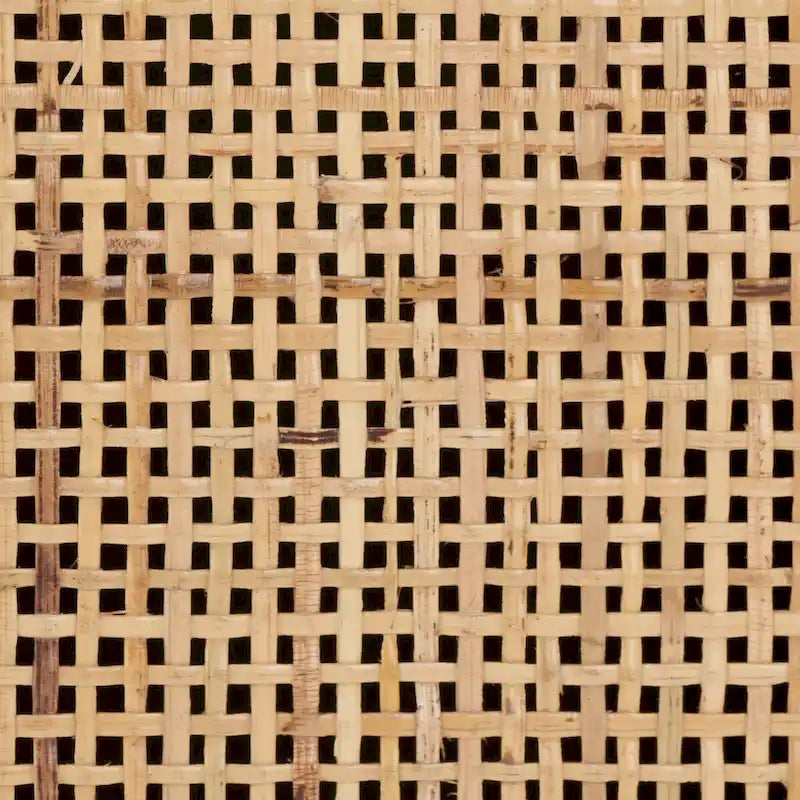 Meuble TV 54 pouces, 2 portes en rotin, 2 étagères, style côtier, noir/blanc/noyer/naturel, 1 unité